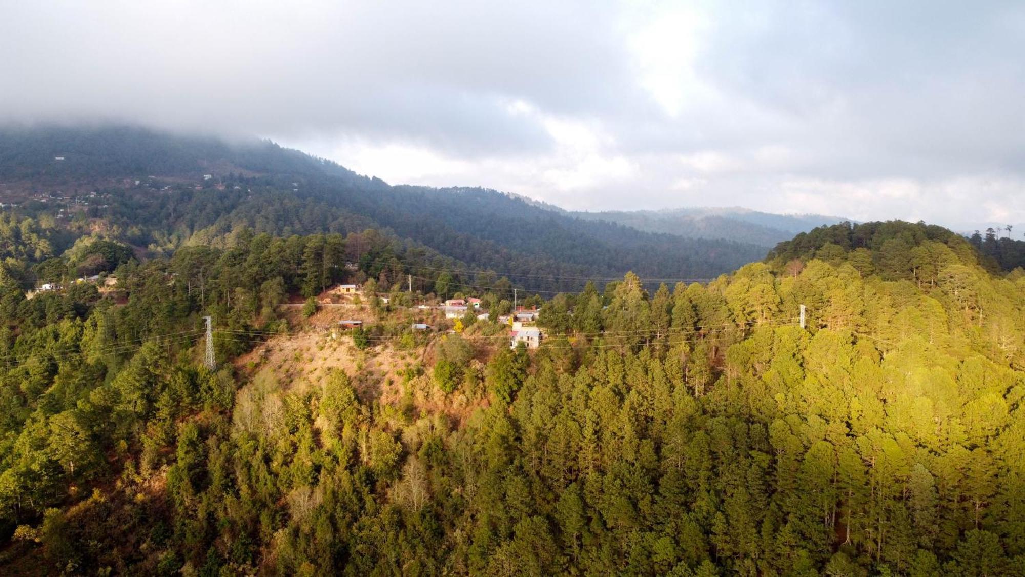 San Jose Del Pacifico- Cabanas Camino Al Cielo 2 Dış mekan fotoğraf