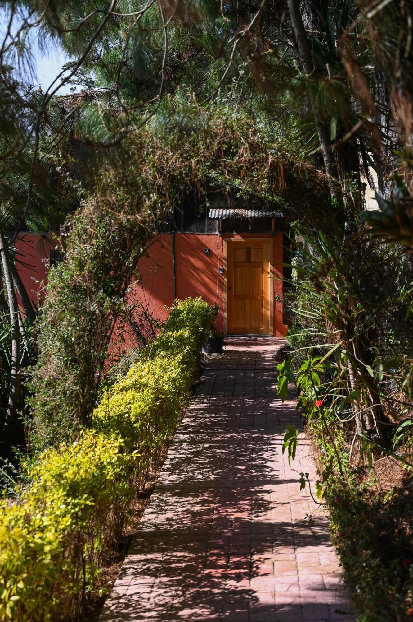 San Jose Del Pacifico- Cabanas Camino Al Cielo 2 Dış mekan fotoğraf